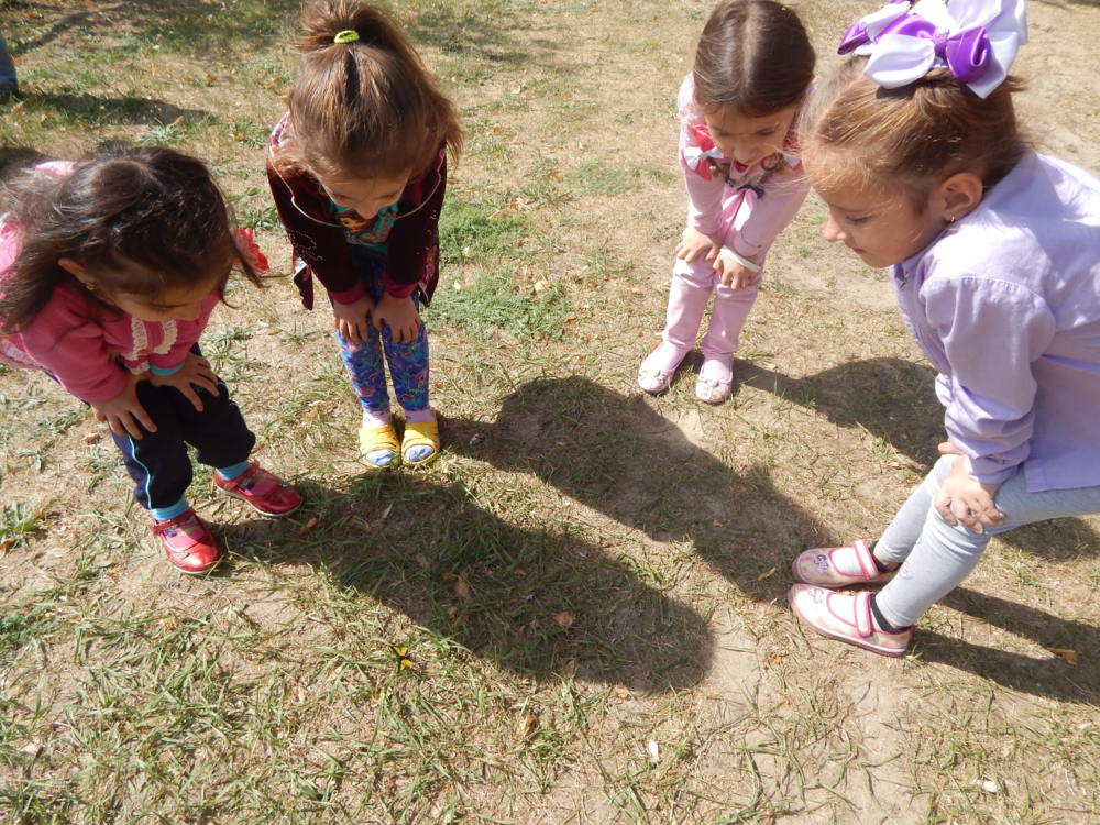 Цель и задачи экологических игр в детском саду