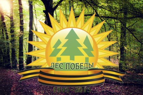 Лес Победы в Воронежской областной Думе