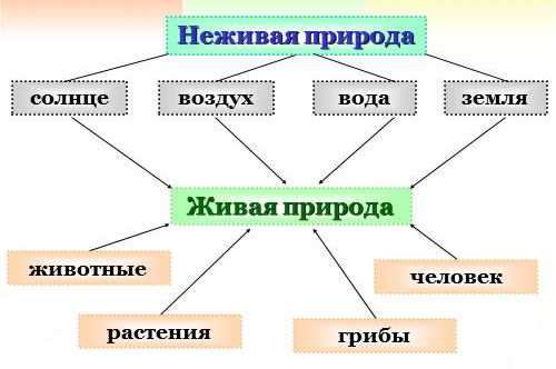 Сац Наталия Ильинична