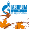 ООО «Газпром СПГ Владивосток».Всероссийский экологический субботник «Зеленая Россия»